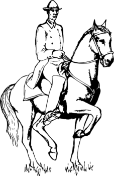 Dessin cheval monté équitation classique